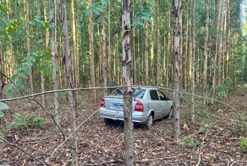 Grande apreensão da Polícia Militar causa prejuízo ao contrabando em Brasilândia