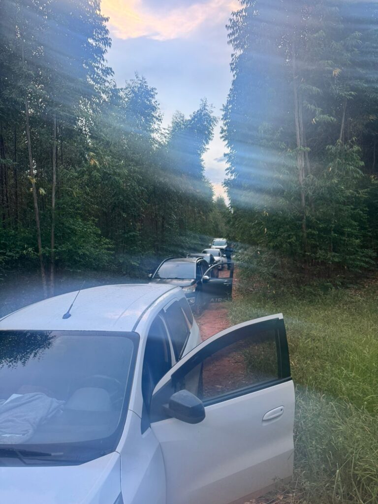 Grande apreensão da Polícia Militar causa prejuízo ao contrabando em Brasilândia