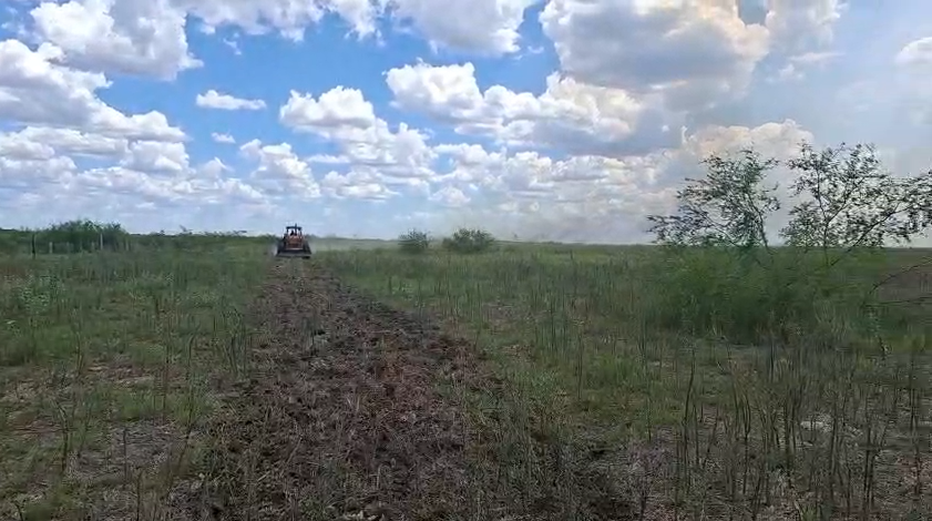 MS reforça planejamento contra o fogo e mobiliza Corpo de Bombeiros no combate a focos no Pantanal