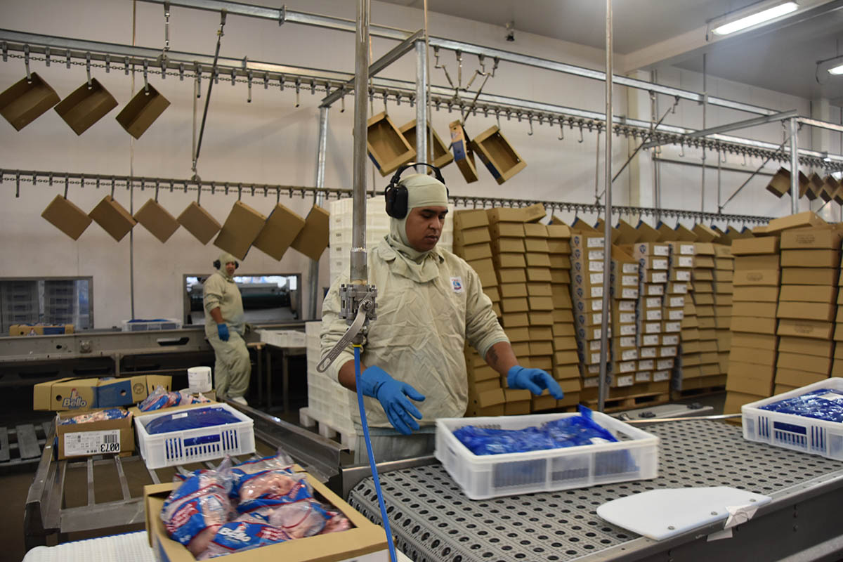 Indústria de MS encerrou 2025 com recorde nas exportações Indústria de MS encerrou 2025 com recorde nas exportações