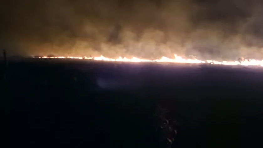 MS reforça planejamento contra o fogo e mobiliza Corpo de Bombeiros no combate a focos no Pantanal