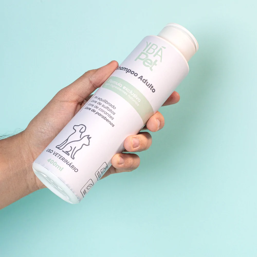 Sebrae/MS viabiliza parcerias globais para ampliar negócios ligados à bioeconomia