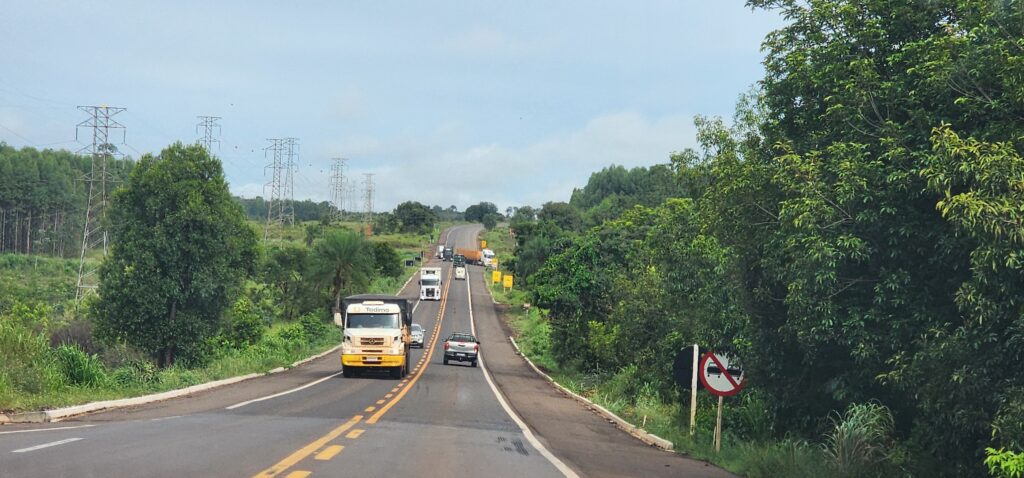 BR-262 entra no radar da violência nas estradas e aparece entre os trechos com mais mortes em MS