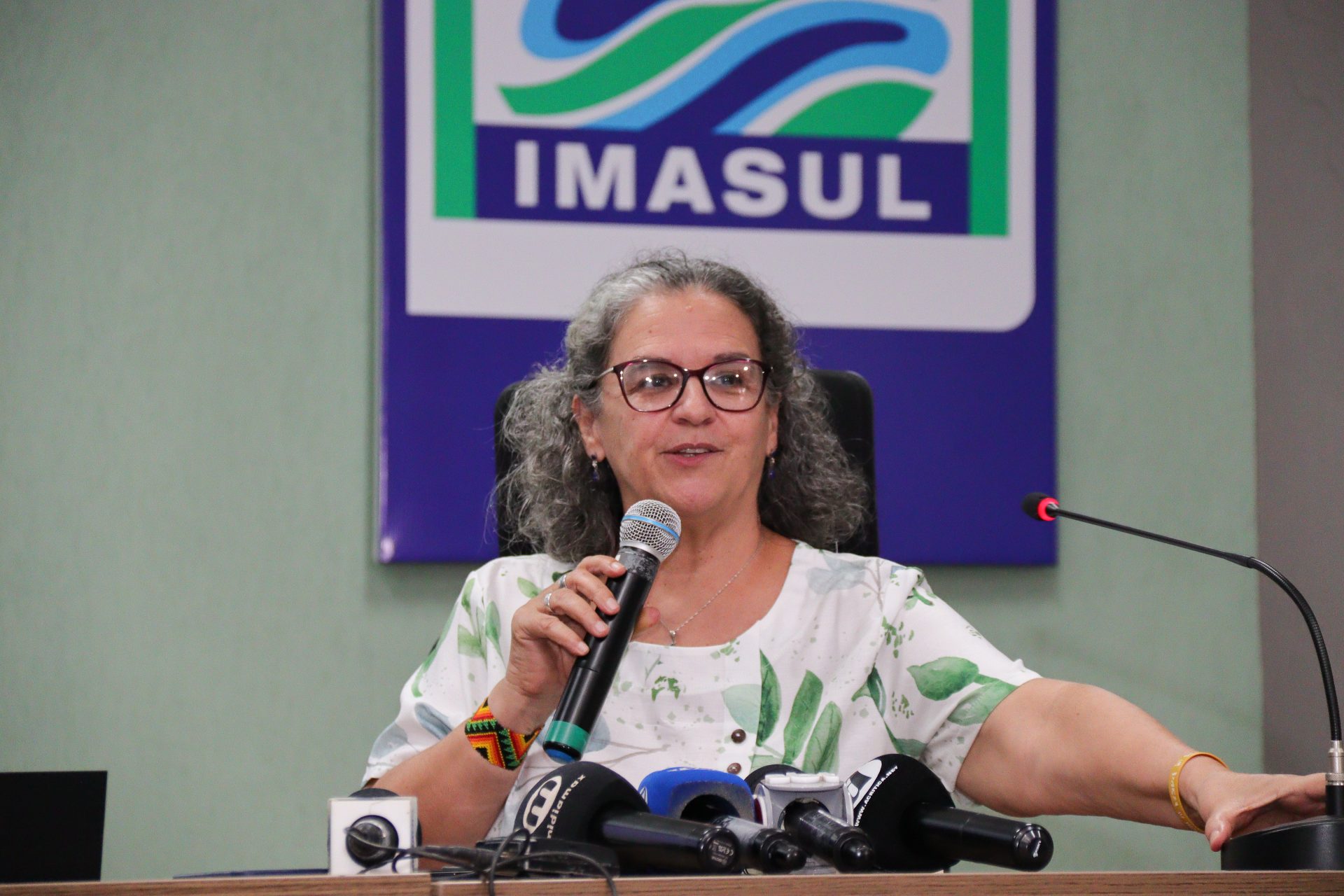 Espécies migratórias: COP15 em MS vai atrair milhares de especialistas de mais de 100 países em março