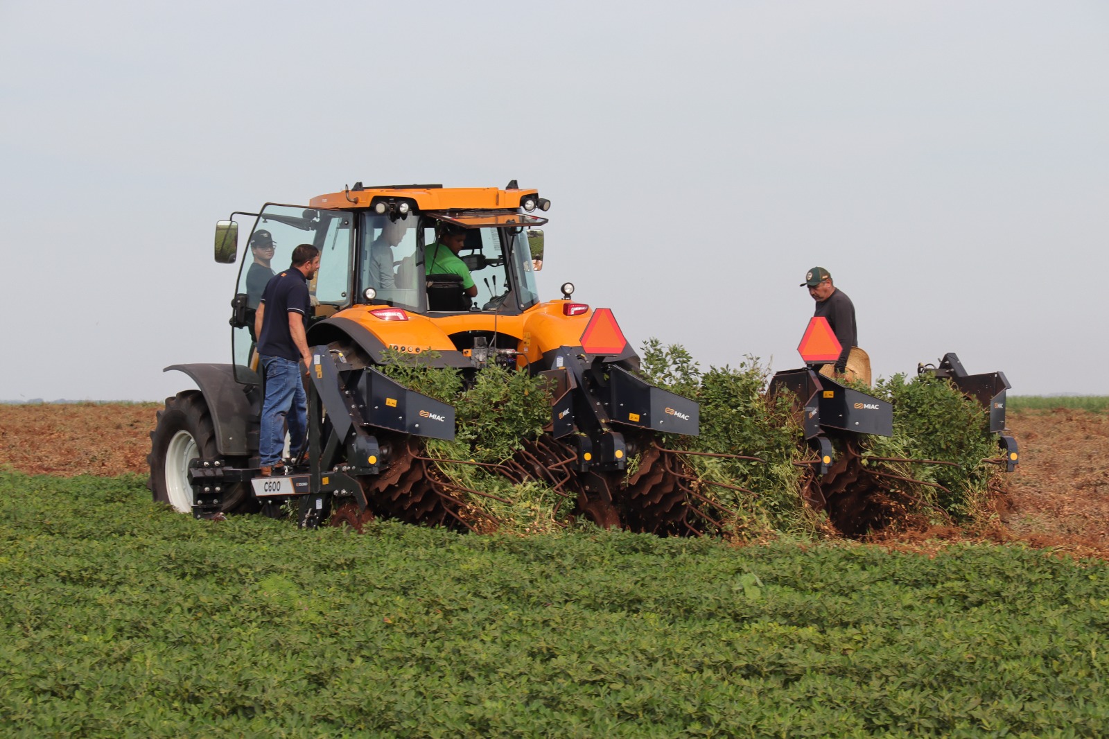 MS consolida cadeia do amendoim com investimento industrial e expansão no campo