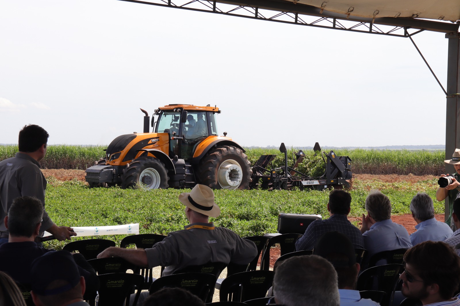 MS consolida cadeia do amendoim com investimento industrial e expansão no campo