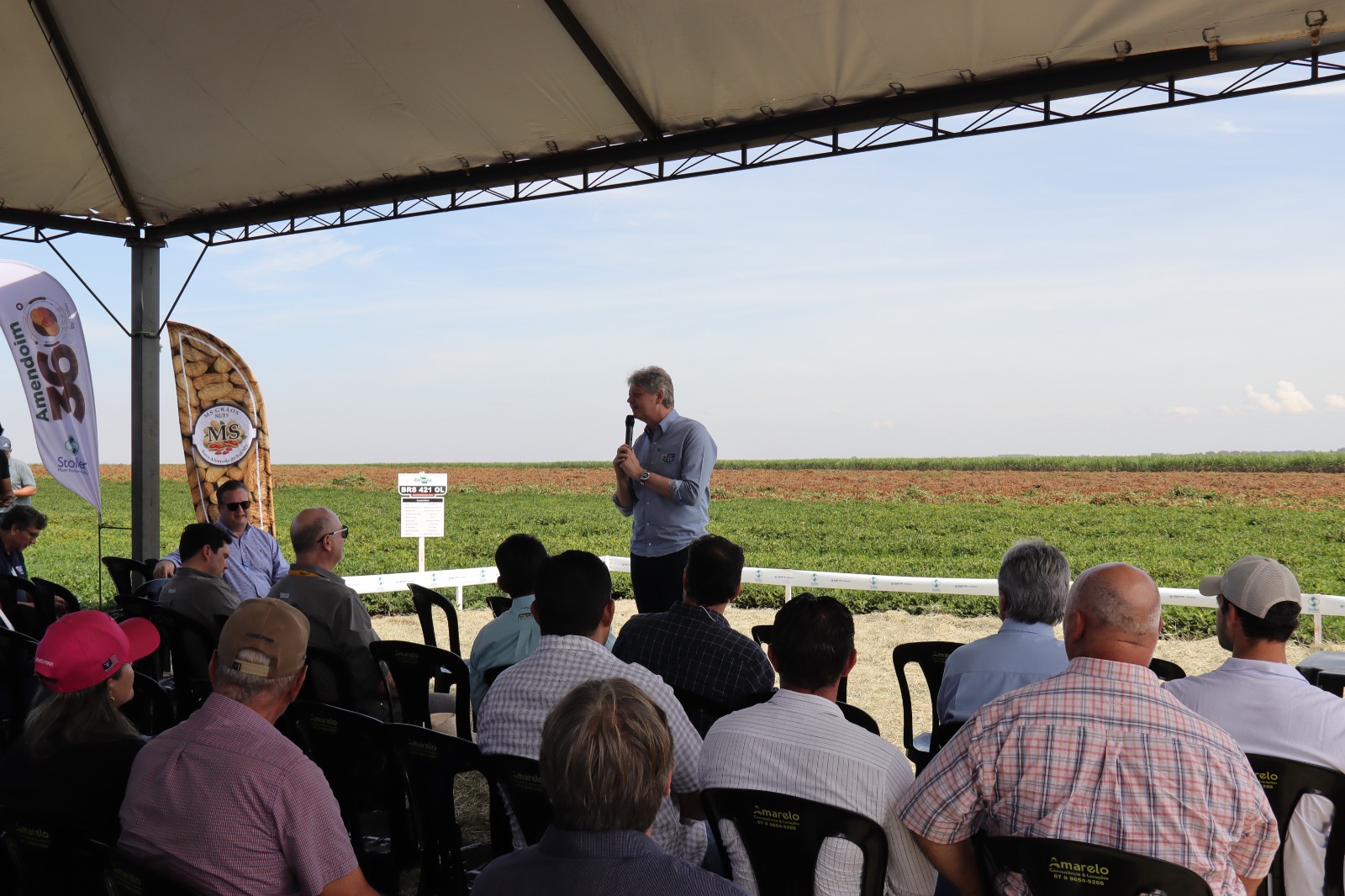 MS consolida cadeia do amendoim com investimento industrial e expansão no campo