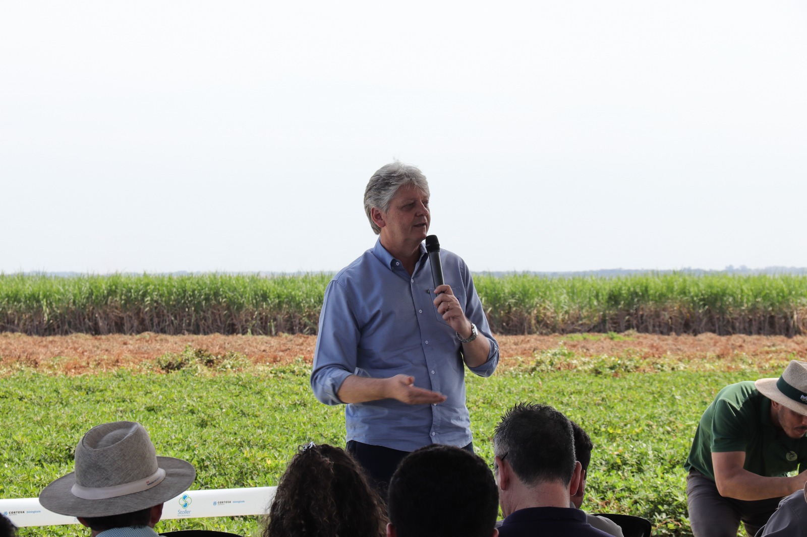 MS consolida cadeia do amendoim com investimento industrial e expansão no campo