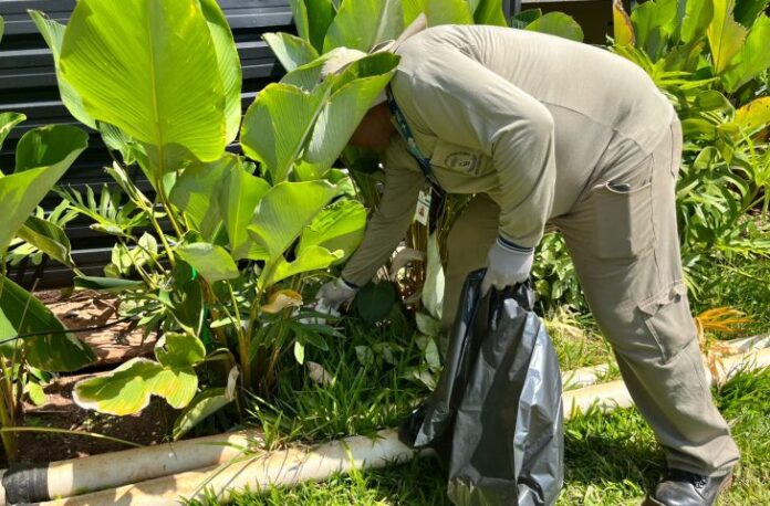 Forca-tarefa-Dengue-12-730x480