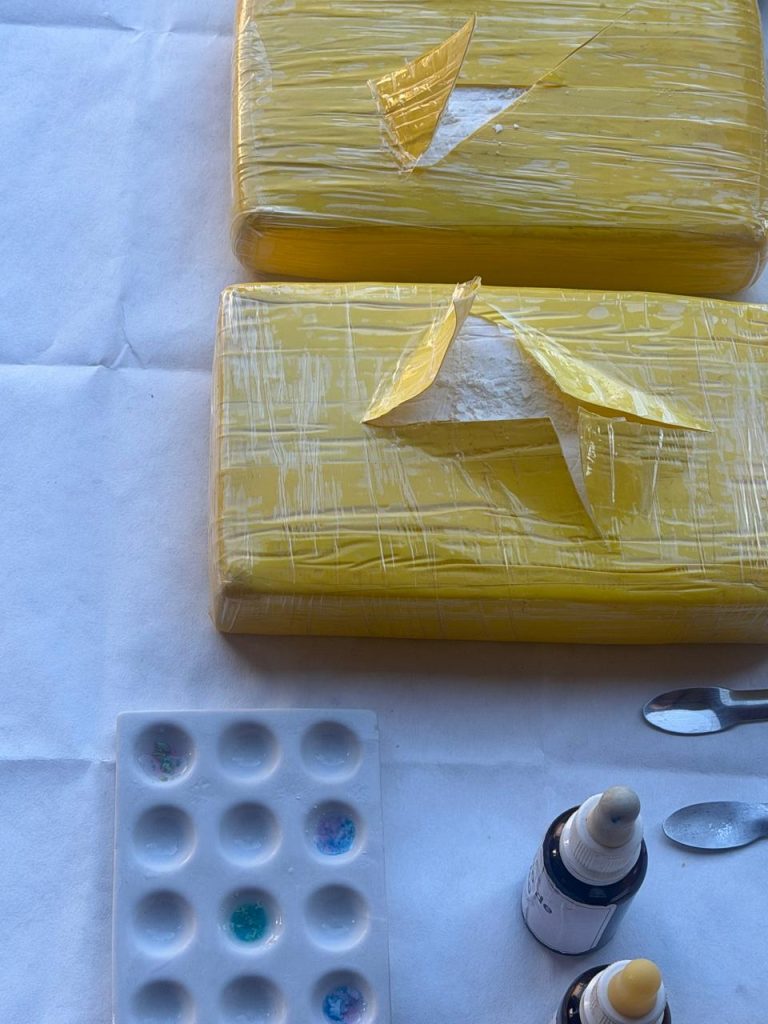 Polícia Civil realiza incineração de entorpecentes em Campo Grande