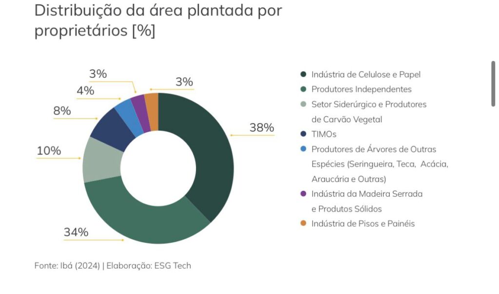 Eucalipto avança no Brasil e MS se consolida como epicentro da nova fronteira florestal Eucalipto avança no Brasil e MS se consolida como epicentro da nova fronteira florestal
