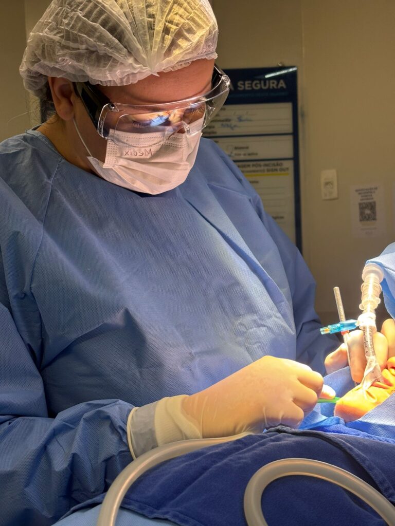 Dentista gratuito em Mato Grosso do Sul: saiba como acessar esse serviço pelo SUS