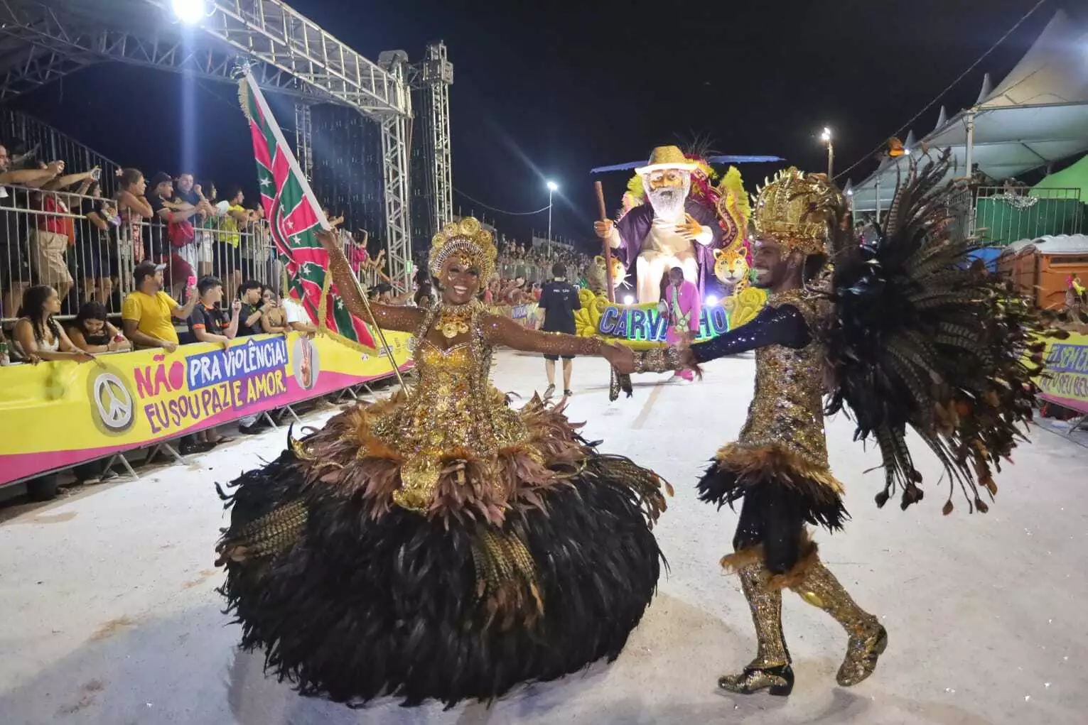 Primeira noite de desfile mistura homenagem, resistência e fantasia em Campo Grande Primeira noite de desfile mistura homenagem, resistência e fantasia em Campo Grande