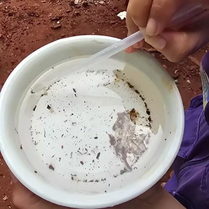 2a3f0bc6fd79ea9f014d47be1b21ee4d78d770e4CAPA