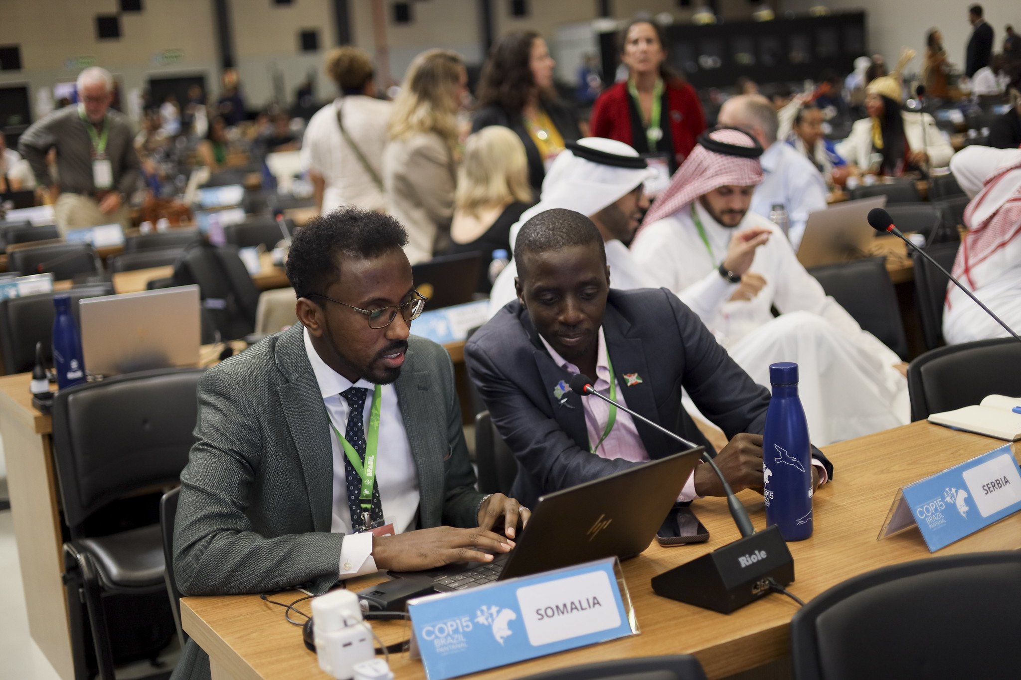 Pintado, ariranha, caboclinho-do-pantanal e mais 37 espécies migratórias recebem proteção na COP15