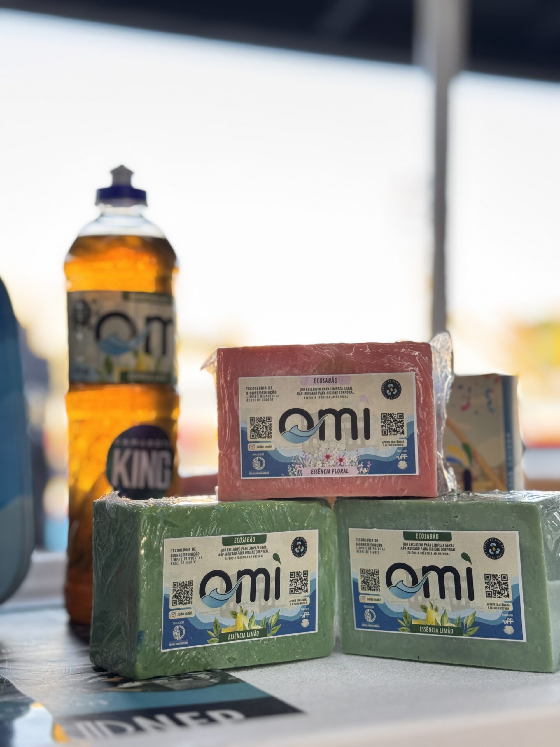 Tecnologia social na comunidade da Mangueira evita poluição de mais de 150 milhões de litros de água e aponta caminhos para um futuro mais sustentável