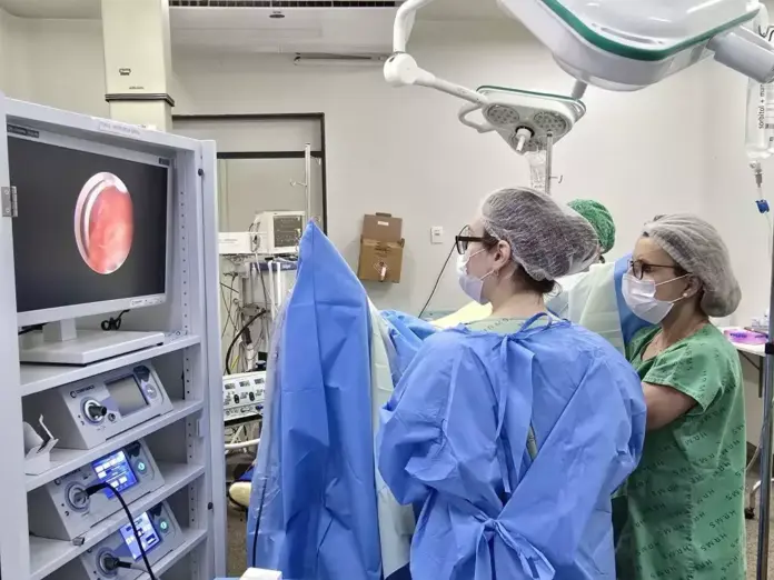 6a111be2756ffb523ee13f56898bed84d7b4b569