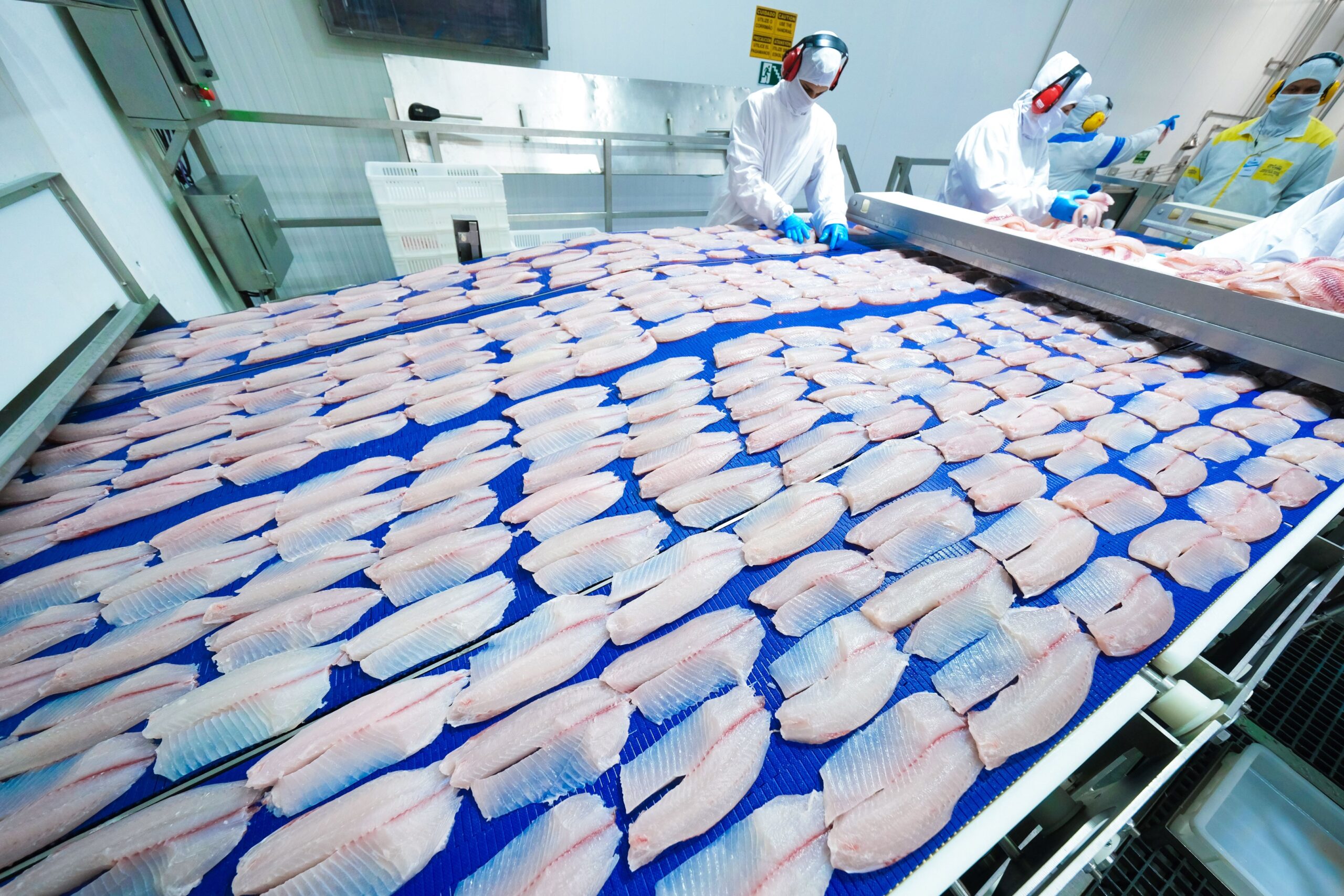 Representantes do Paraguai conhecem a cadeia da tilápia no oeste do Paraná Representantes do Paraguai conhecem a cadeia da tilápia no oeste do Paraná