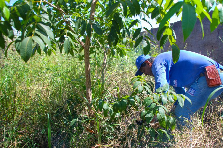 Prefeitura realiza ação integrada para reestruturação e limpeza de terrenos na região do Centro POP