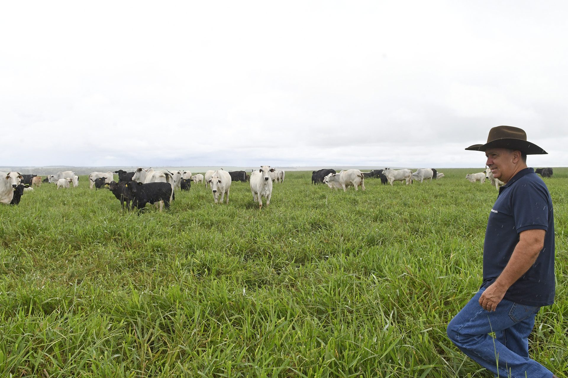 Com maior crescimento do país, agro de MS é fruto de incentivo, modernidade e sucesso do homem do campo