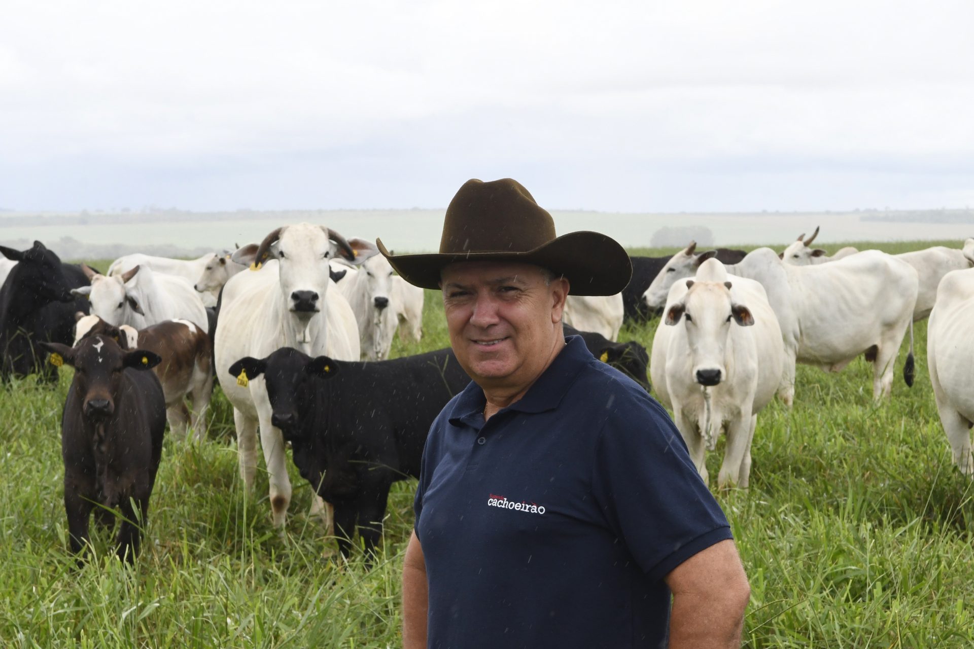 Com maior crescimento do país, agro de MS é fruto de incentivo, modernidade e sucesso do homem do campo