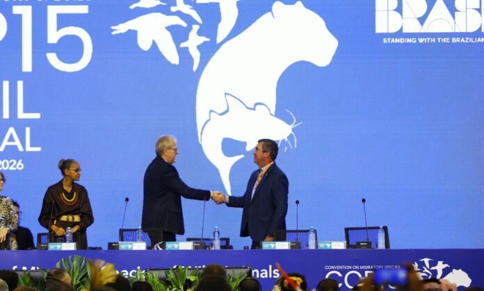 Foto-Saul-Schramm-5-scaled