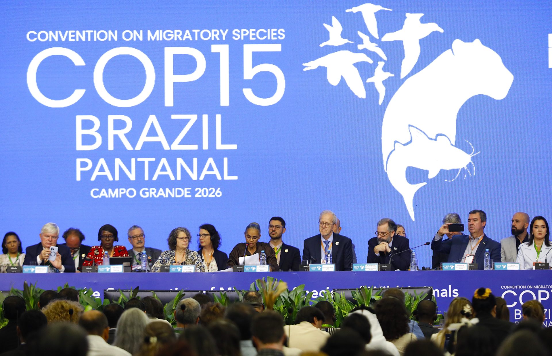 Pantanal no centro do mundo: COP15 começa com protagonismo de MS e mobilização global pela biodiversidade