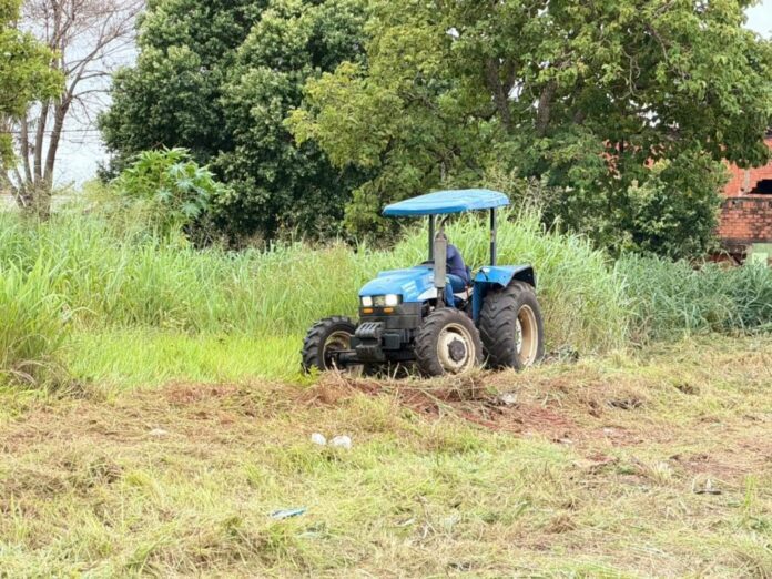 Limpeza-Operacao-Aproximattus-2-scaled