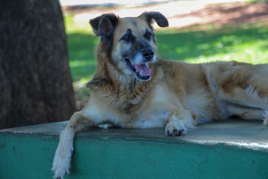 Semana da Água começa na Lagoa Maior com ações de conscientização ambiental e de saúde