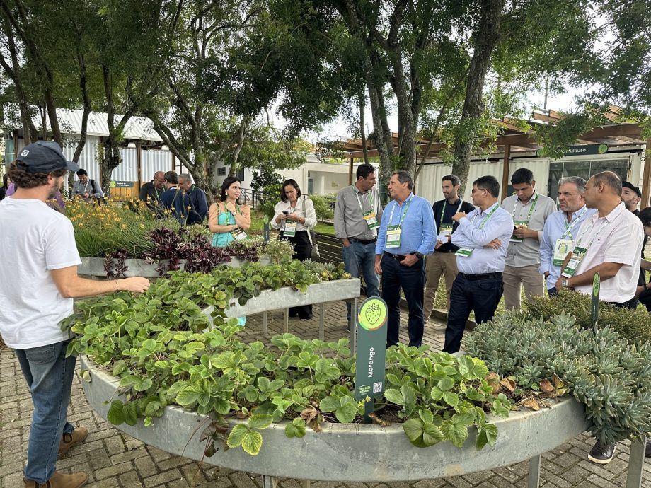 Prefeito Dr. Cassiano Maia visita instituições estratégicas em busca de inovação e novas parcerias