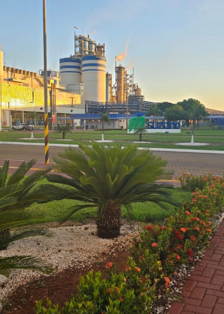 Investimento de mais de R$ 25 milhões reforça competitividade da Suzano em Três Lagoas