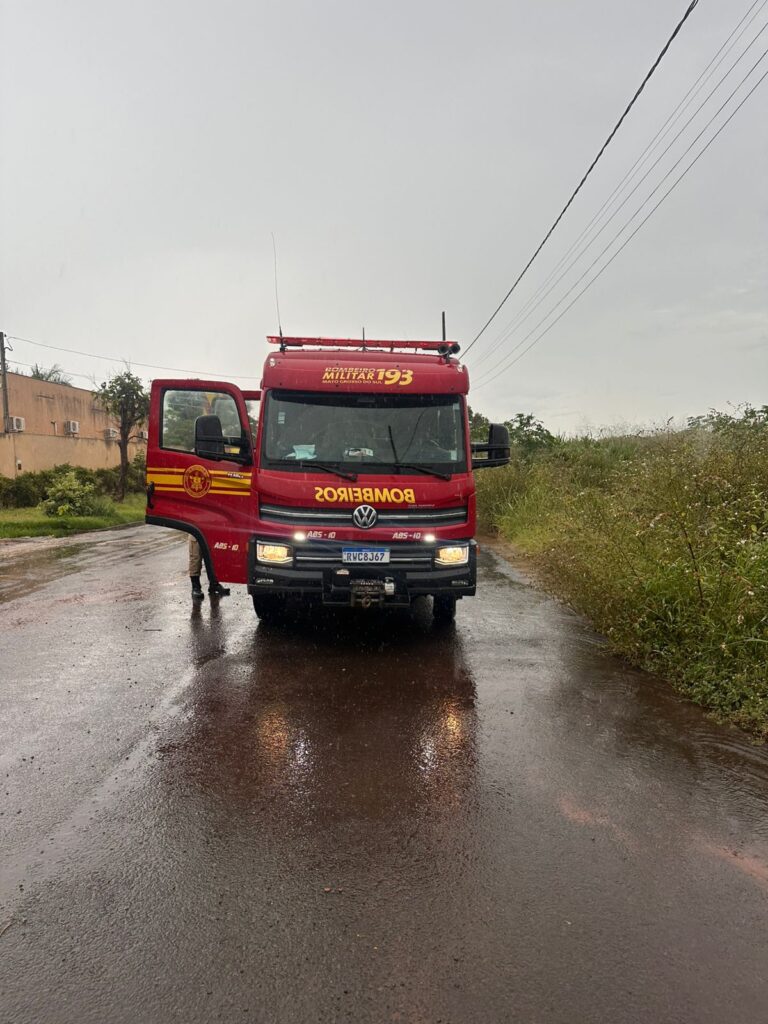 Corpo de Bombeiros resgata cães que caíram em poço de 5 metros em Três Lagoas