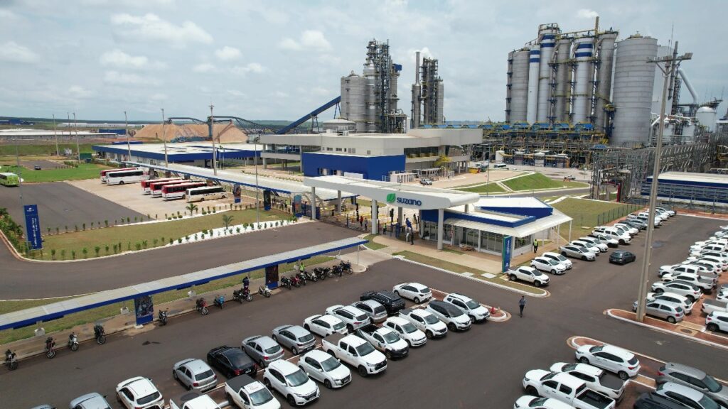 Celulose: o produto “invisível” que sustenta a economia de Mato Grosso do Sul e cadeias produtivas inteiras