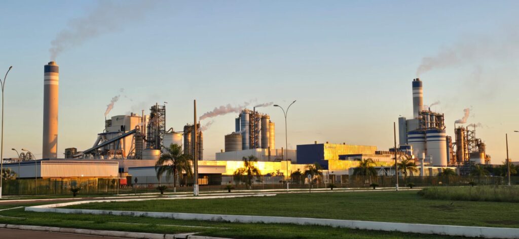 Vale da Celulose: Mato Grosso do Sul se consolida como potência global do setor florestal