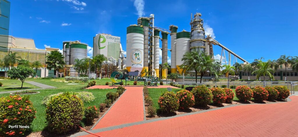Vale da Celulose: Mato Grosso do Sul se consolida como potência global do setor florestal