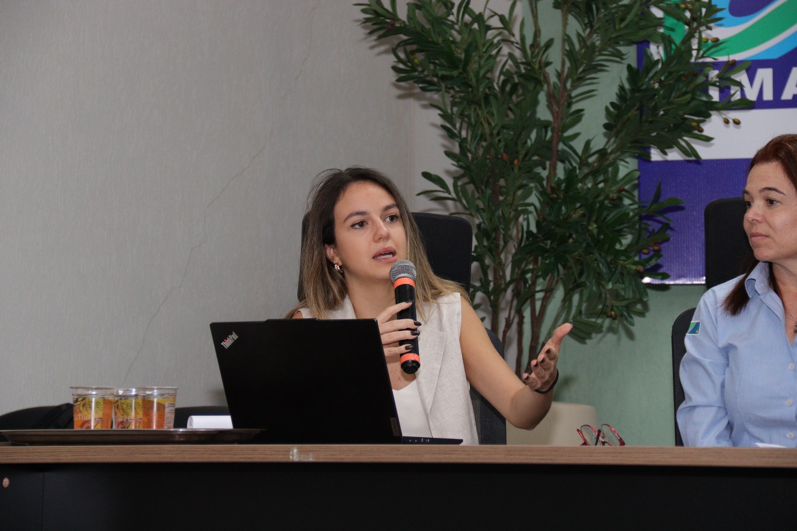 Municípios elegem representantes ao Comitê Técnico da Microrregião de Saneamento Básico