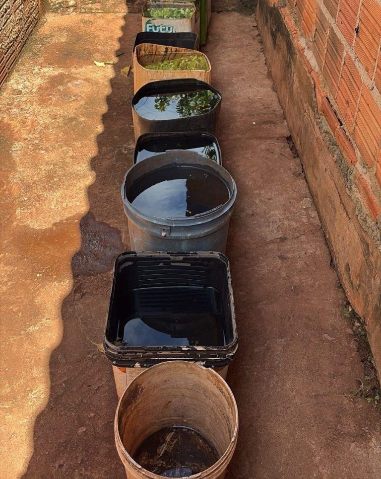 Após estruturar frota, MS equipa 79 municípios com bombas costais para combater o Aedes