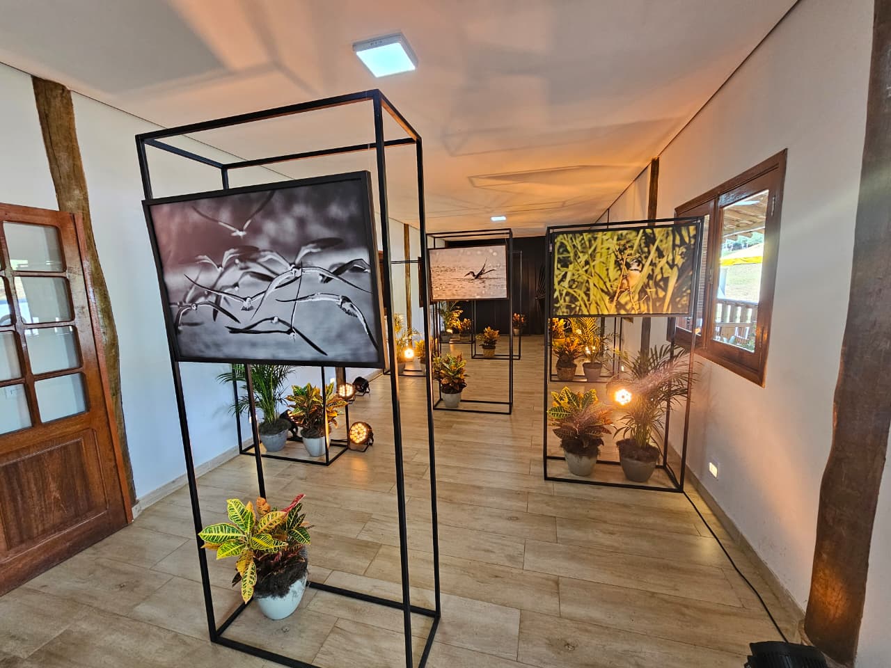 Ministra, governador e secretários visitam a Casa do Pantanal, que sedia eventos da COP15