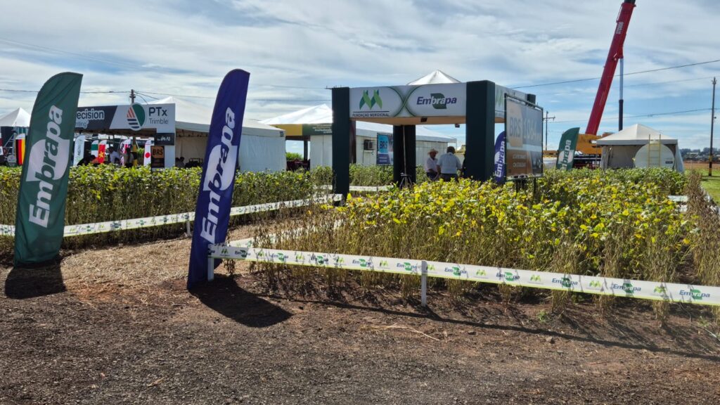 Do Norte ao Vale da Celulose: feiras revelam a força econômica do interior de MS