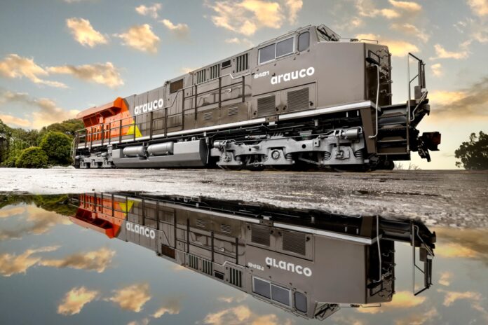 WhatsApp Image 2026-03-23 at 18.13.34