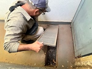 Estado articula para trazer vacina da chikungunya para MS e garante inclusão em estratégia piloto nacional