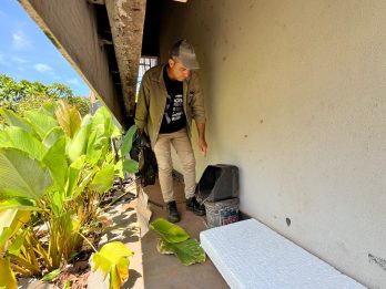 Estado articula para trazer vacina da chikungunya para MS e garante inclusão em estratégia piloto nacional