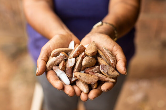 unnamed - 2026-03-23T141524.585