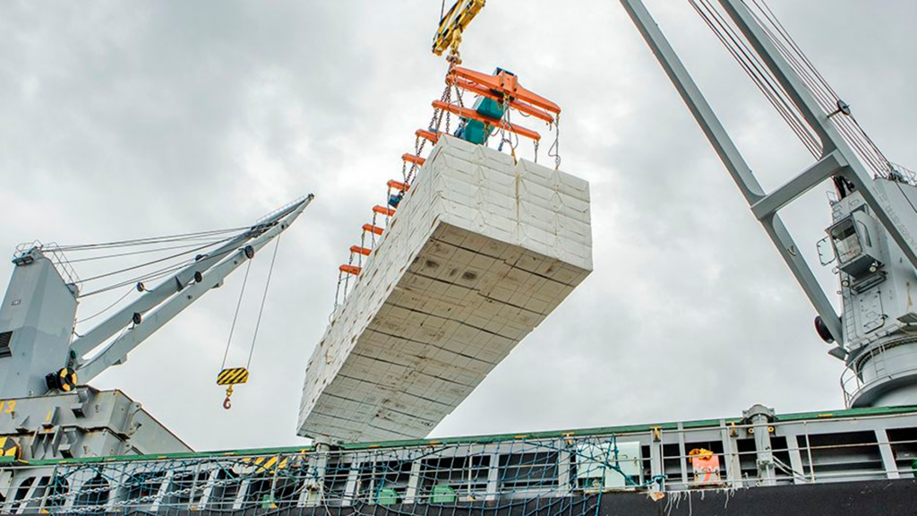 Como MS virou protagonista na produção de celulose e reposicionou o Brasil na cadeia global do setor