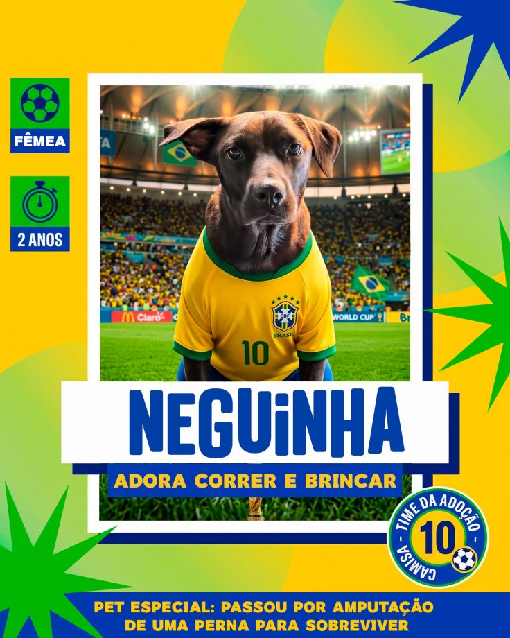 Adoção responsável avança em Três Lagoas e já garantiu novo lar para 14 cães