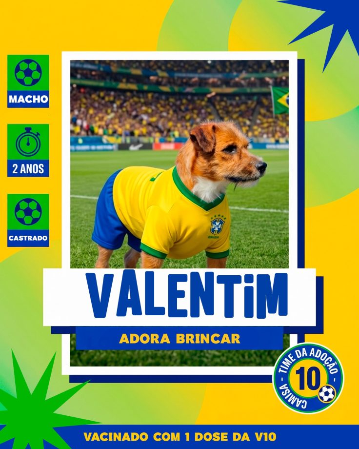 Adoção responsável avança em Três Lagoas e já garantiu novo lar para 14 cães