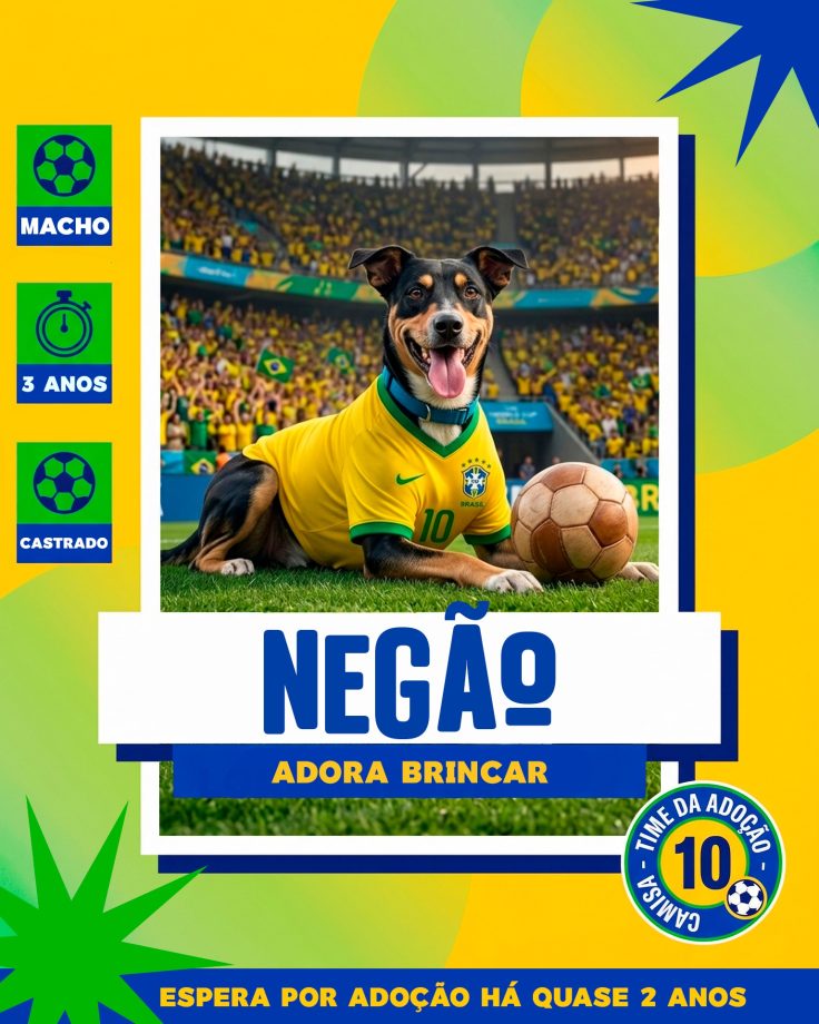 Adoção responsável avança em Três Lagoas e já garantiu novo lar para 14 cães