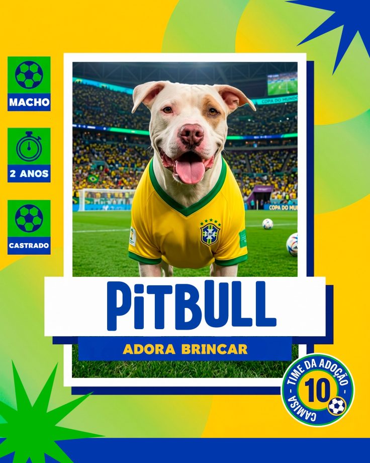 Adoção responsável avança em Três Lagoas e já garantiu novo lar para 14 cães