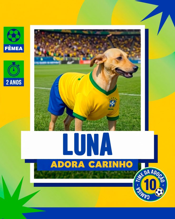 Adoção responsável avança em Três Lagoas e já garantiu novo lar para 14 cães