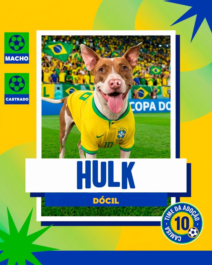 Adoção responsável avança em Três Lagoas e já garantiu novo lar para 14 cães